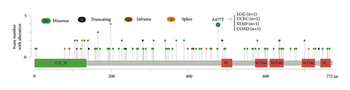 Details are in the caption following the image Details are in the caption following the image