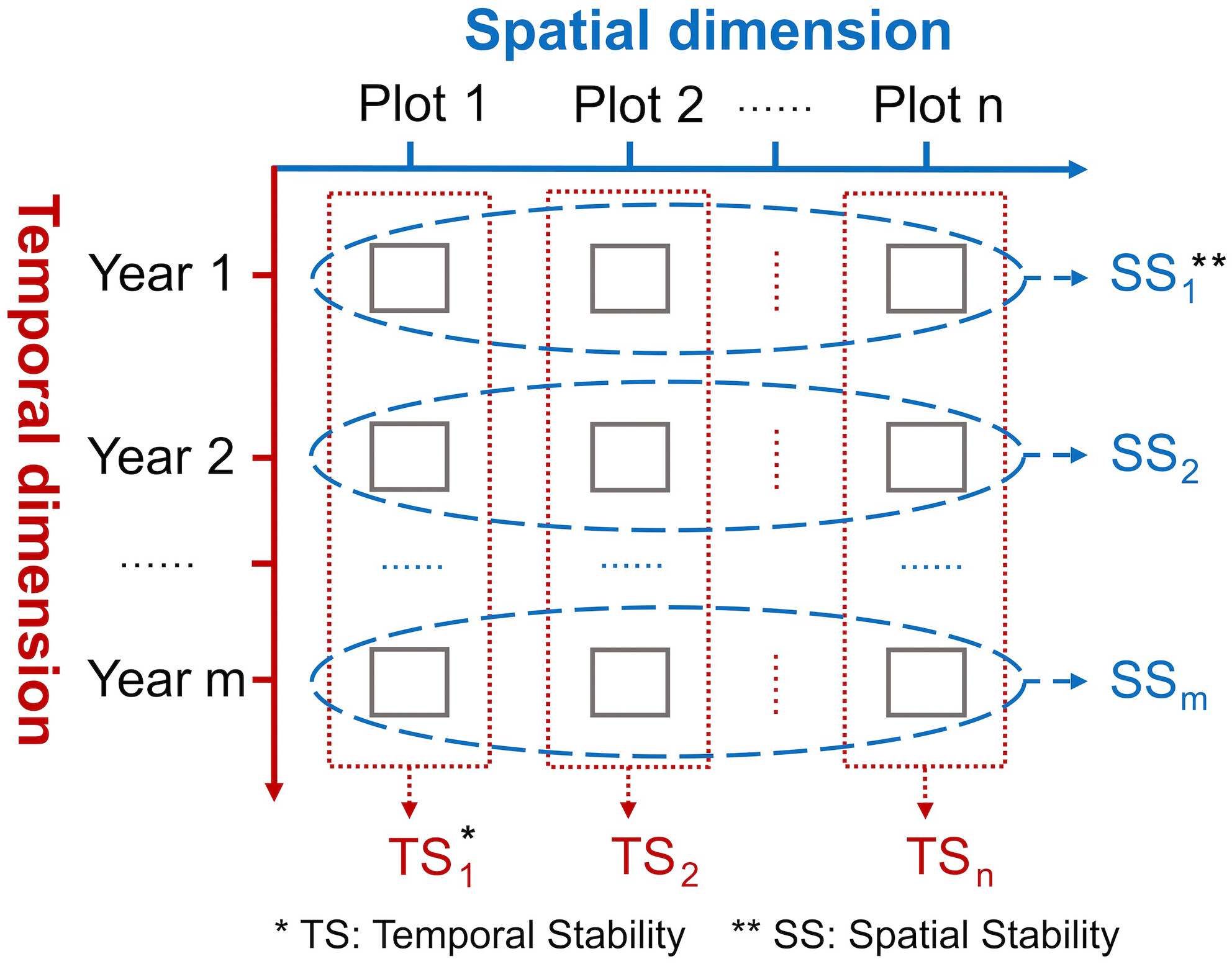 Differential Response of Community Biomass Temporal- and Spatial- Stabilities to Nitrogen Addition in an Alpine Meadow on the Tibetan Plateau