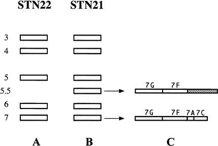 Details are in the caption following the image Details are in the caption following the image