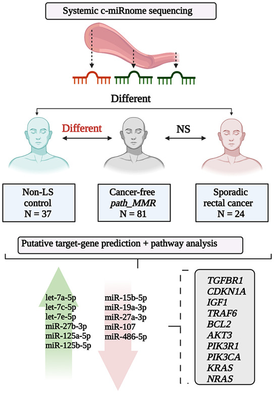 Systemic circulating microRNA landscape in Lynch syndrome
