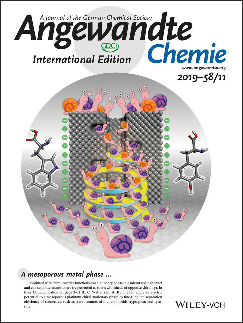 Inside Back Cover: Potential-Induced Fine-Tuning of the Enantioaffinity of Chiral Metal Phases (Angew. Chem. Int. Ed. 11/2019) Volume 58 Issue 11, 2019