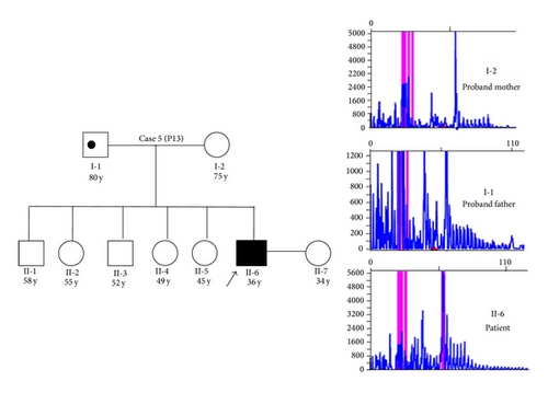 Details are in the caption following the image Details are in the caption following the image