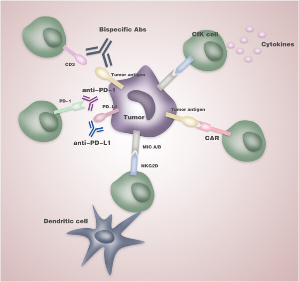 Ten-year update of the international registry on cytokine-induced killer cells in cancer immunotherapy