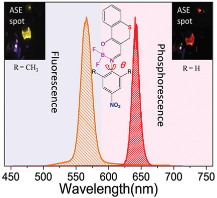 Modulation of Amplified Spontaneous Emissions between Singlet Fluorescence and Triplet Phosphorescence Channels in Organic Dye Lasers