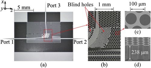Details are in the caption following the image Details are in the caption following the image