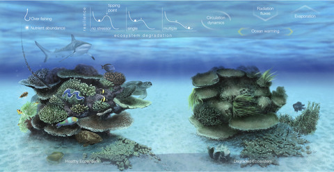 Multiple stressor effects on coral reef ecosystems