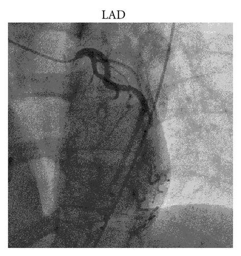 Details are in the caption following the image