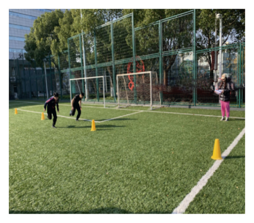 Details are in the caption following the image Details are in the caption following the image