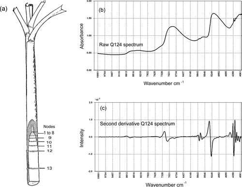 Details are in the caption following the image Details are in the caption following the image