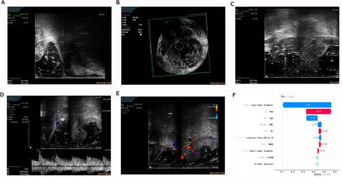 Details are in the caption following the image Details are in the caption following the image