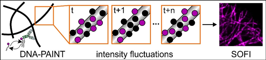 Multi-Color, Bleaching-Resistant Super-Resolution Optical Fluctuation Imaging with Oligonucleotide-Based Exchangeable Fluorophores