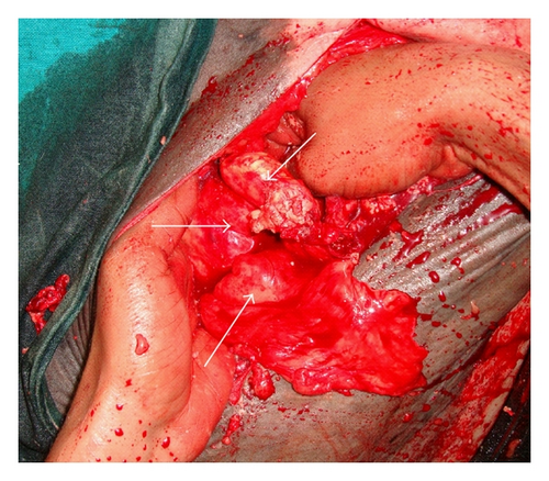 Details are in the caption following the image Details are in the caption following the image