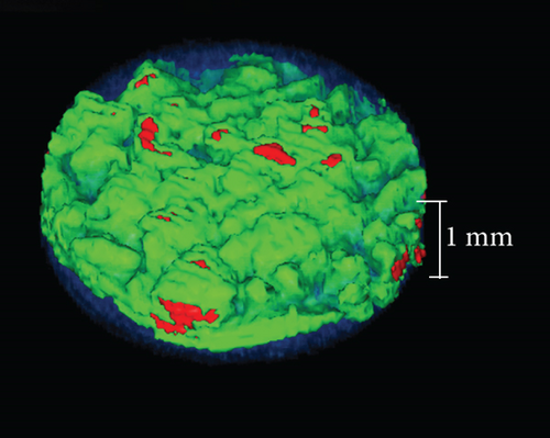 Details are in the caption following the image Details are in the caption following the image