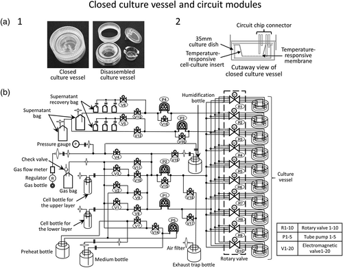 Details are in the caption following the image Details are in the caption following the image
