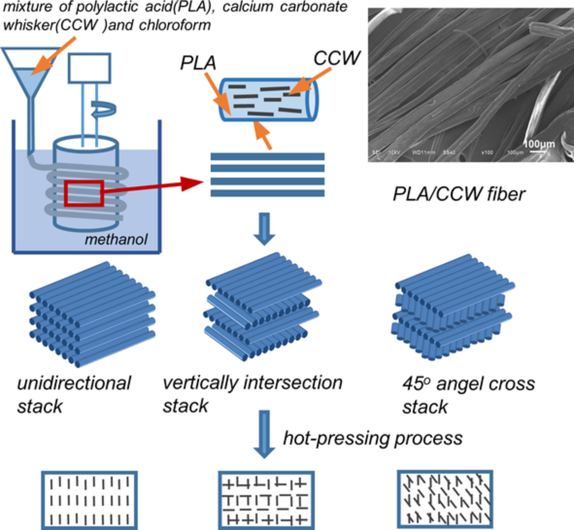 Properties and morphology of polylactic acid composites reinforced by orientation aligned calcium carbonate whisker
