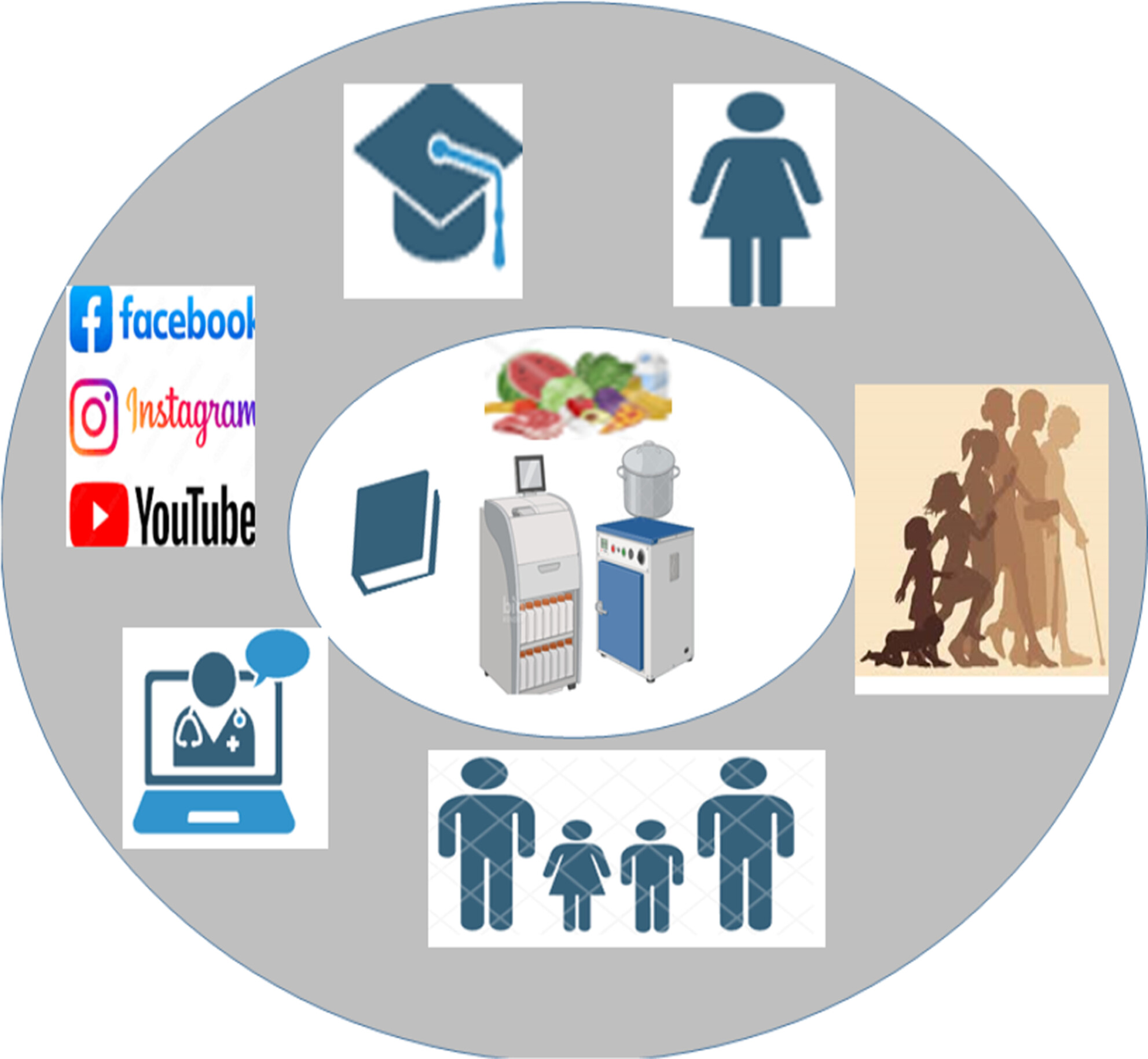 Social Determinants of Food Literacy in Iranian Adult Population: A Cross-Sectional Study