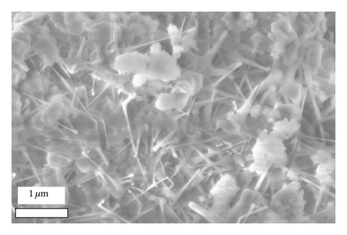 Details are in the caption following the image