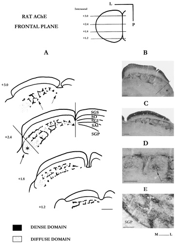 Details are in the caption following the image
