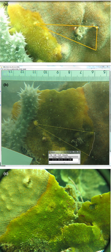 Details are in the caption following the image Details are in the caption following the image