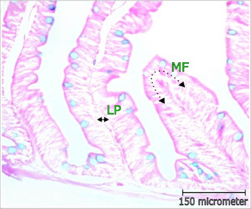 Details are in the caption following the image Details are in the caption following the image