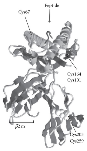 Details are in the caption following the image
