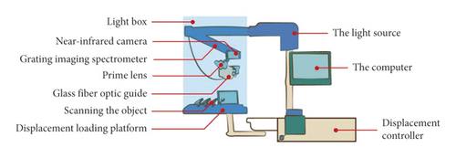 Details are in the caption following the image Details are in the caption following the image