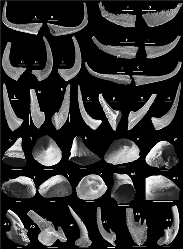 Details are in the caption following the image Details are in the caption following the image