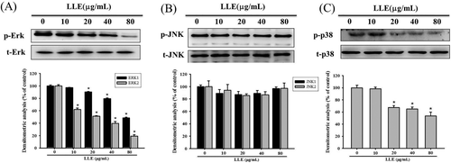 Details are in the caption following the image