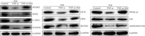 Details are in the caption following the image