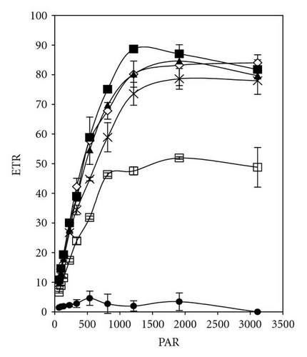Details are in the caption following the image