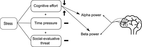 Separating EEG correlates of stress: Cognitive effort, time pressure, and social-evaluative threat