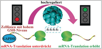 Functional Nanoparticles with a Reducible Tetrasulfide Motif to Upregulate mRNA Translation and Enhance Transfection in Hard-to-Transfect Cells