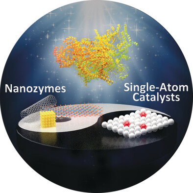 When Nanozymes Meet Single-Atom Catalysis