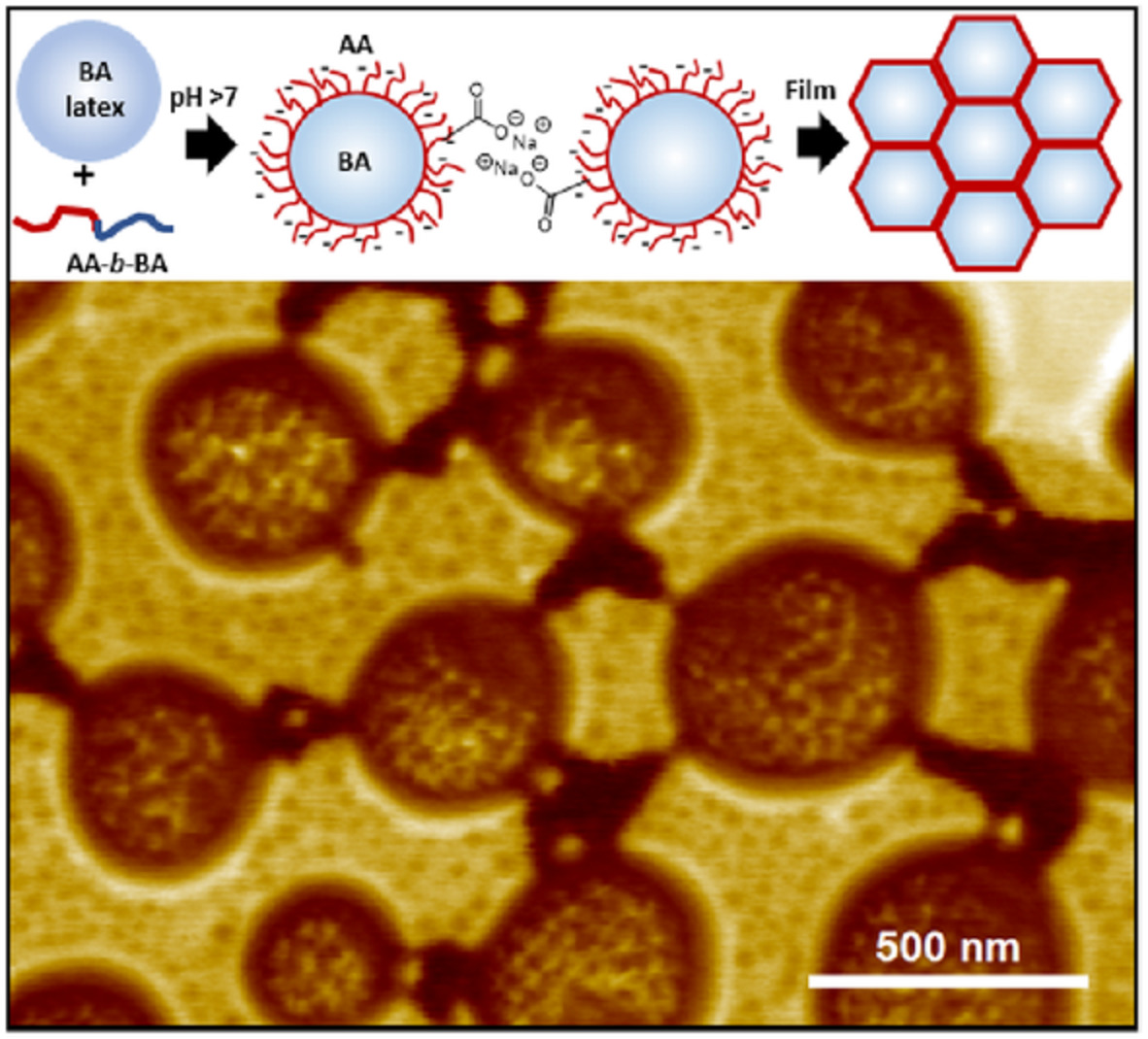 Variation in adhesion properties and film morphologies of waterborne pressure-sensitive adhesives containing an acid-rich diblock copolymer additive