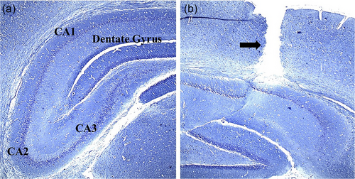 Details are in the caption following the image