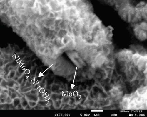Details are in the caption following the image