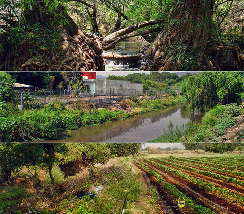 Impact of adjacent land use on the ecological condition of riparian habitats: The relation between condition and vegetation properties