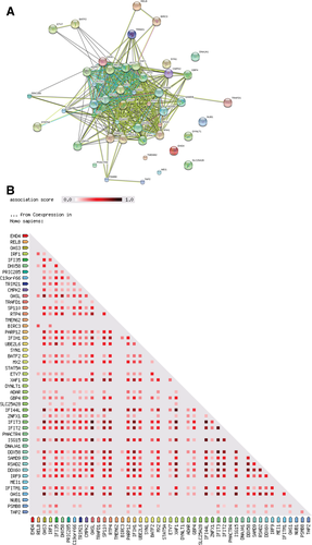 Details are in the caption following the image Details are in the caption following the image