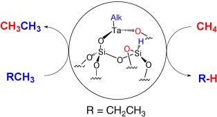 Cross-Metathesis of Propane and Methane: A Catalytic Reaction of C<span class='icomoon'></span>C Bond Cleavage of a Higher Alkane by Methane