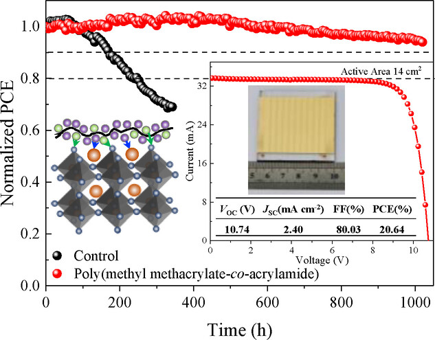 A Multifunctional Polymer as an Interfacial Layer for Efficient and Stable Perovskite Solar Cells