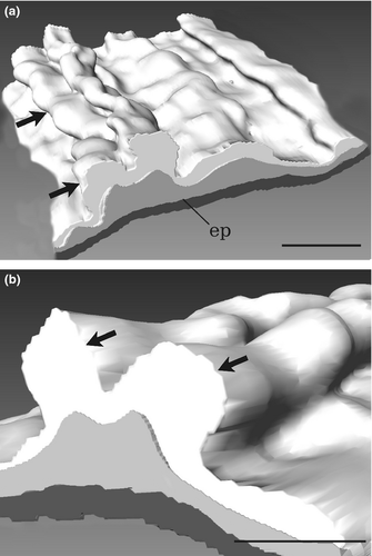 Details are in the caption following the image