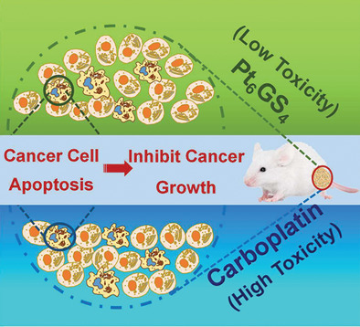 Is GSH Chelated Pt Molecule Inactive in Anti-Cancer Treatment? A Case Study of Pt6GS4