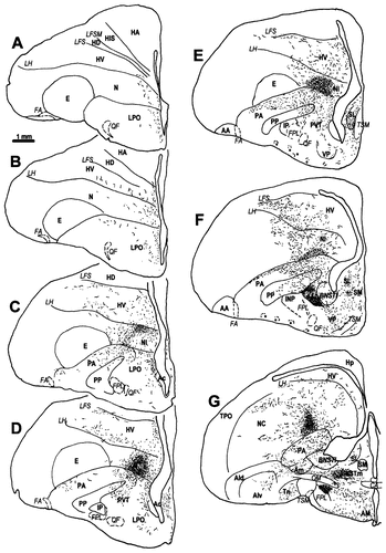 Details are in the caption following the image