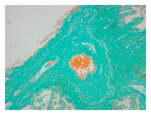 Details are in the caption following the image Details are in the caption following the image