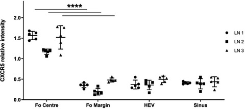 Migratory cues controlling B-lymphocyte trafficking in human lymph nodes