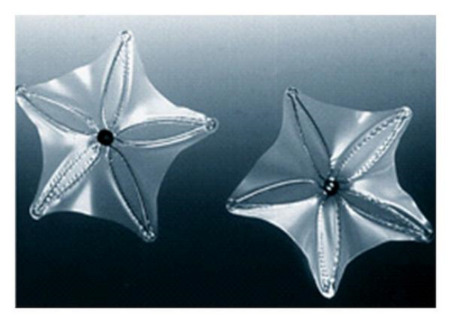 Details are in the caption following the image