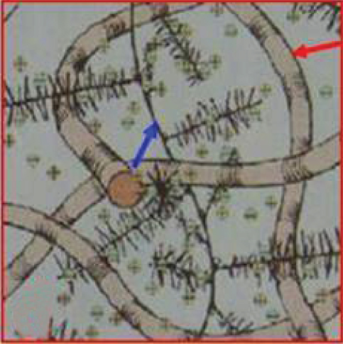 Details are in the caption following the image
