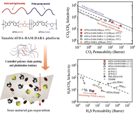 Molecularly Engineered 6FDA-Based Polyimide Membranes for Sour Natural Gas Separation