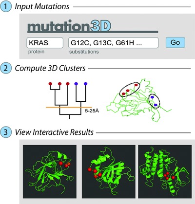 mutation3D: Cancer Gene Prediction Through Atomic Clustering of Coding Variants in the Structural Proteome