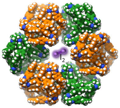 Chiral Self-Sorting Directed Supramolecular Organic Framework of Imine Cages for Iodine Capture